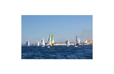 J24 in regata