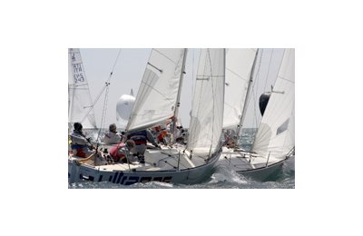 J24 in regata