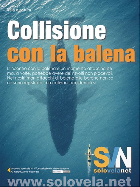 Collisione con la balena