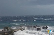 maxi sequestro cocaina canarie quasi 1 tonnellata mercantile