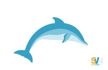 Giornata Mondiale dei Delfini: il 14 aprile per difendere la biodiversità dei nostri mari