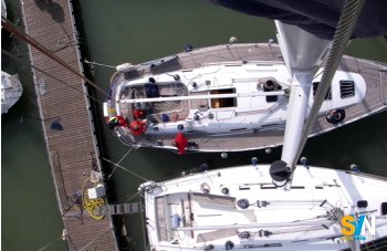 Salire in testa d’albero: cosa controllare e come farlo in sicurezza