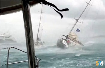 Groppo in mare: come riconoscerlo e affrontarlo in sicurezza