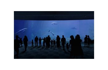Acquario di Genova cresce, pronta la nuova vasca dei delfini 