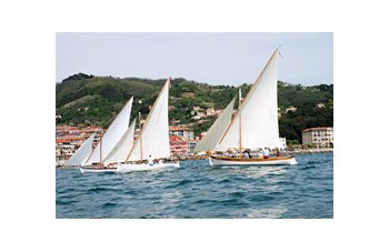 Ecco il circuito del 2009