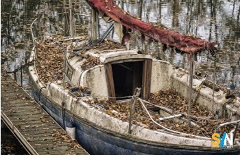 Scafi in segatura più resistenti della vetroresina: la ricerca finlandese apre nuove prospettive