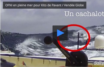 Ad affondare la mia barca è stato un capodoglio