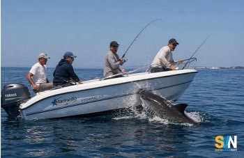Squalo mako urta un motoscafo a Gallipoli: paura tra i diportisti, nessun ferito