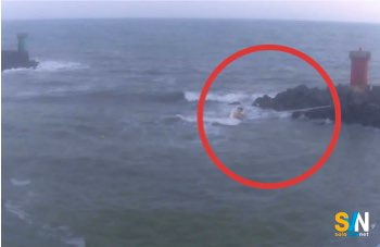 Porto di Roma: barca a vela travolta dalle onde finisce a scogli