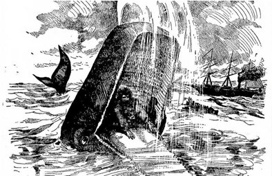 Nella pancia della balena: la storia di James Bartley