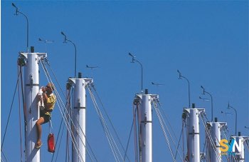 Salire in testa d’albero con il winch elettrico: procedura e rischi