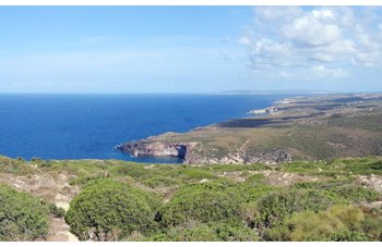 Velista cade da bordo e muore