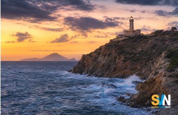 Cinque miti del mare che vivono sulle coste italiane