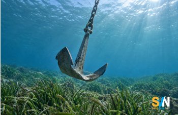 Posidonia, nuova normativa nazionale: l’ancoraggio non deve danneggiare gli habitat protetti