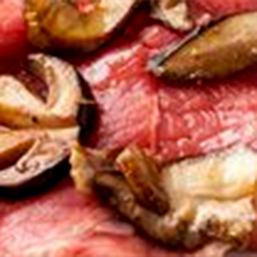 Carpaccio del boscaiolo
