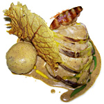 Coda di rospo al tartufo