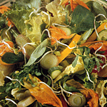 Insalata dell'orto