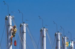 Salire in testa d’albero con il winch elettrico: procedura e rischi