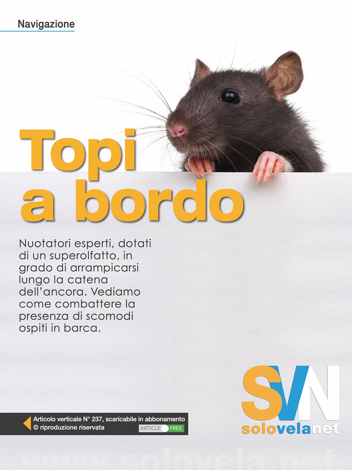 Ratti e non topi: come difendersi dai piccoli intrusi a bordo