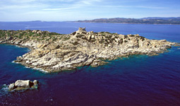 L'isola di Serpentara
