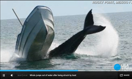 Immagine di USA Today