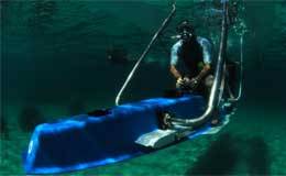 Il Platypus in navigaizone