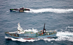 Perquisite le navi di Sea Shepherd