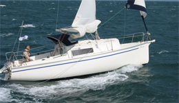 Zen 24
