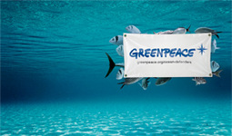 Greenpeace: rapporto sull’isola del Giglio
