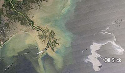 La situazione nel Golfo del Messico, fotografata dalla Nasa