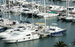 Sarebbero di 40 mila posti barca, il progetto proposto da Ucina