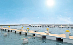 Un disegno del nuovo Marina San Pietro a Termoli