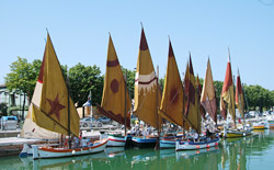 Una piccola flotta di imbarcazioni armate con vela al terzo