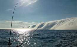 Banco di nebbia sul lago Michigan