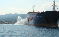 Un momento dell'esercitazione a Vado Ligure