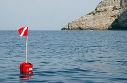 Il sub fortunatamente non ha subito gravi ferite