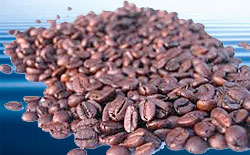 trovata caffeina nell'Oceano Pacifico