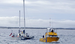Plastiki trainato nel porto di Mooloolaba