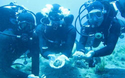 3418 monete puniche ritrovate a Cala Tramontana