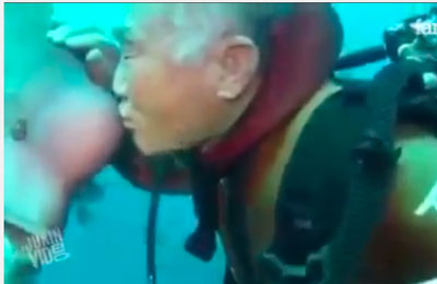 Sommozzatore smette di lavorare e coccola grande pesce