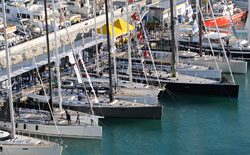 Tutte le barche di Genova