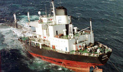Nel 1999, la petroliera Erika ha versato in mare 30.000 tonnellate di greggio