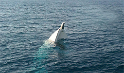 Cinque naufraghi salvi per miracolo