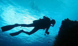 Trovati morti i due sub dispersi