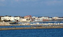 L'area Foce Verde sul litorale di Latina