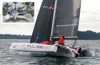 new Pulse 600