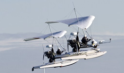 Gli alianti di Alinghi