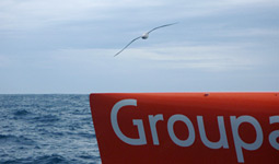 Groupama in Indiano