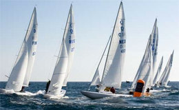 Dragoni in allenamento