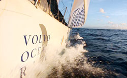 Telefonica Blue ha varcato per primo lo scring gate di Fernando de Noronha